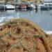 New rules to protect commercial fishermen from unlicenced competition