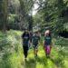 Environmental internships open for applications