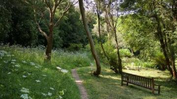 Val de la Mare Arboretum granted prestigious Queen’s Commonwealth Canopy accreditation