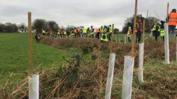 HSBC employees support Trees for Life hedgerow conservation  campaign