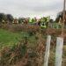 HSBC employees support Trees for Life hedgerow conservation  campaign
