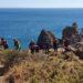 Cambion photographic exhibition