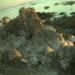 Guernsey provides seabird photos for international initiative