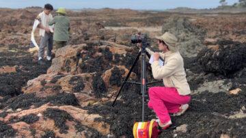 Move over Spielberg! Film festival calls for Channel Island filmmakers