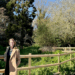 Grant from Jersey Water secures future of Val de la Mare Arboretum