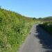 ‘Green Grid’ campaign boosts Jersey hedgerows