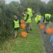 Deloitte Isle of Man caring for local marine life