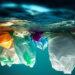Plastic bags floating in sea ocean