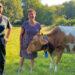 Dairy wins BOOM Awards category for its Organic Milk