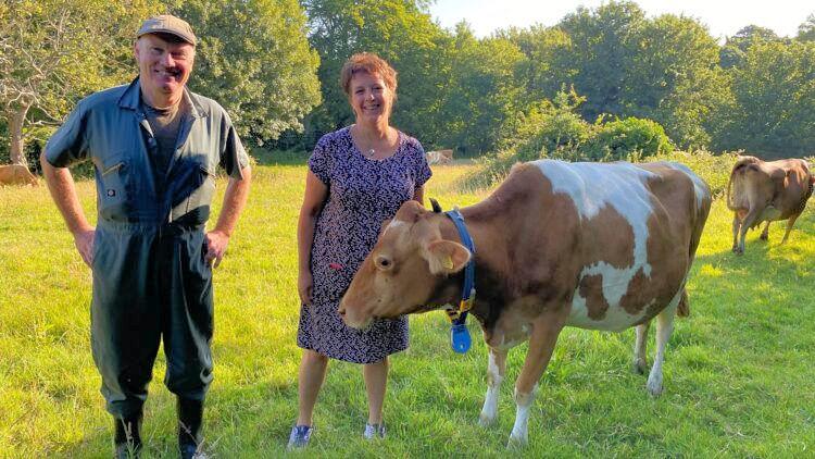 Dairy wins BOOM Awards category for its Organic Milk
