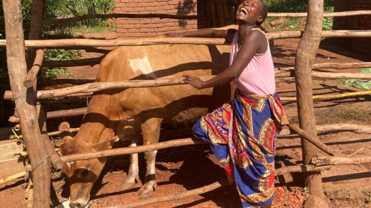 Smallholder farmer Egrey Mathengo Jersey cow