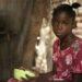 Overseas Aid and Development Commission supports Haiti and Somalia