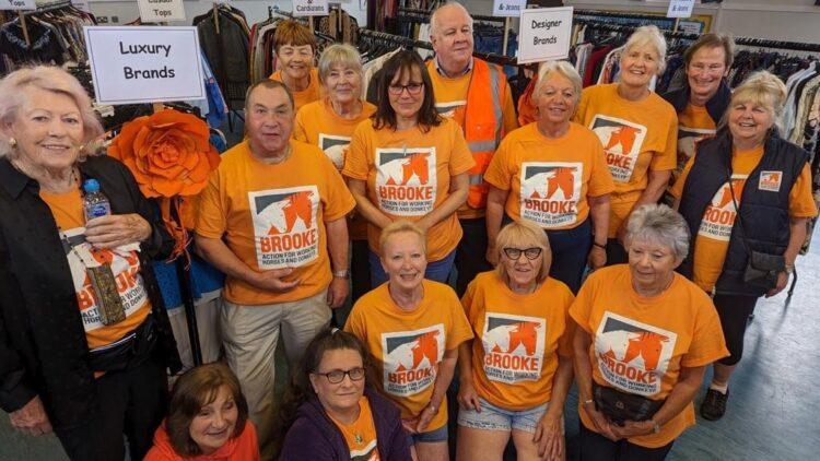 Charity group raises over £400,000 to support working horses and donkeys