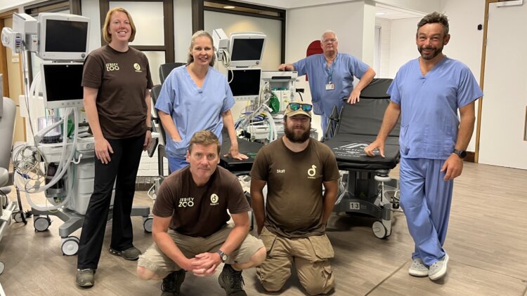 Heath and Community Services donate medical equipment to Jersey Zoo