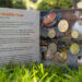 Coin set featuring wildlife soon to appear in Isle of Man wallets
