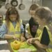 Collaborative charity project to explore new, healthy foods receives praise