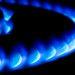 Gas hob ring fire