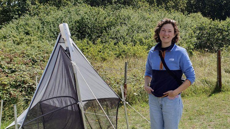 Large scale pollinator research programme coming to Channel Islands  