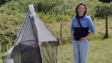 Large scale pollinator research programme coming to Channel Islands  