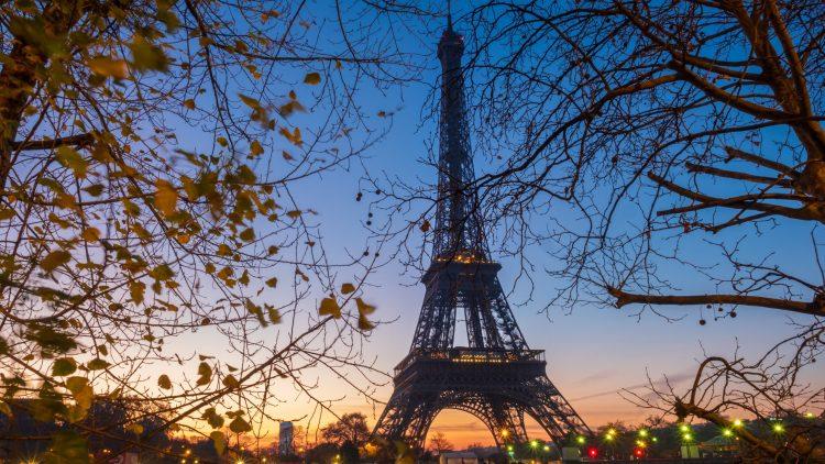 Committee for Economic Development welcomes new Paris air link