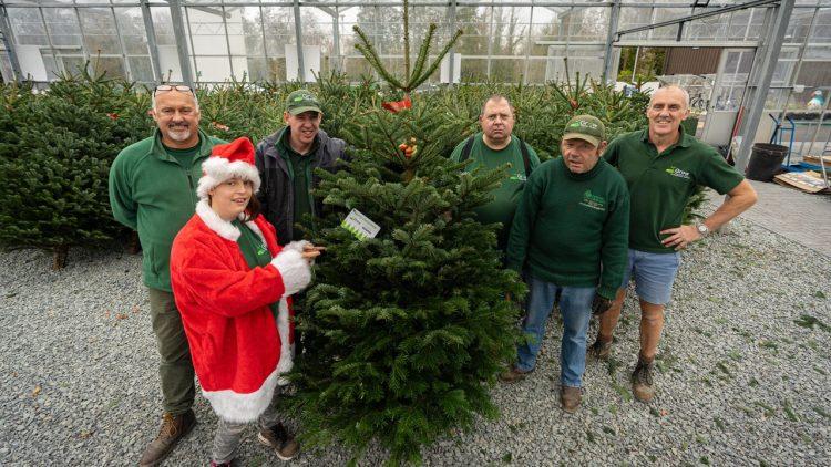 Buy a Christmas tree and help a local charity