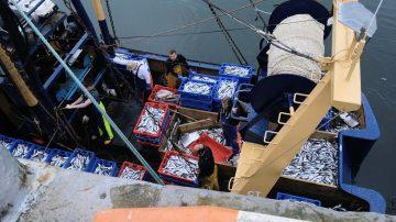 Herring success leads to optimism for Manx fishing industry