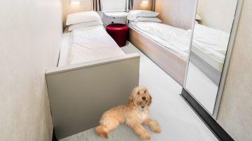 Pet cabins to be available on Commodore Clipper this summer