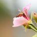 Environmental projects awarded funding from Strategy for Nature Fund