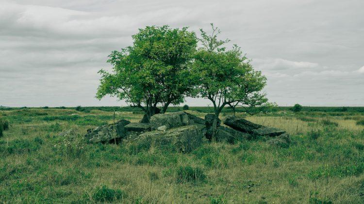 ArtHouse Jersey awards development grants for exciting range of projects