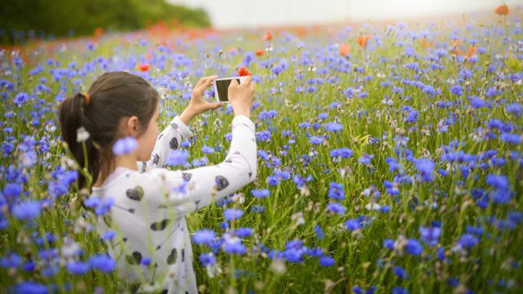 Young Nature Champion competition launched