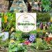 Standard Bank sponsors Brighter Futures Trinity Gardening Club