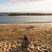 World WellBeing Week: A guide to transformative energy and finding inner balance