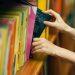 Jersey Library Summer Reading Challenge