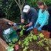Little Seedlings Grow