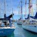 Yacht fleet ASTO Guernsey
