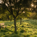 Jersey Trees for Life and Accuro confirm Adelina Wood partnership
