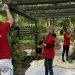 HSBC employees volunteer more than 850 hours in the first half of 2024