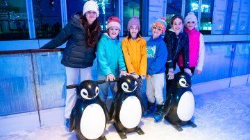 Damaged cable causes opening delay for Ice Rink