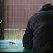 World Homeless Day 2024: Highlighting homelessness in Jersey