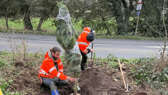 Baker Tilly Channel Islands joins Greening Jersey to support  rewilding efforts