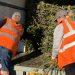 A tree-mendous amount raised for Hospice thanks to Christmas Trees Collection and Recycling