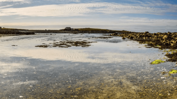 Invicta announces recipients of the first Community Fund Grant