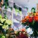 Local florist puts down roots in St Peter’s