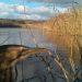 Rare Bittern filmed at The Wetland Centre