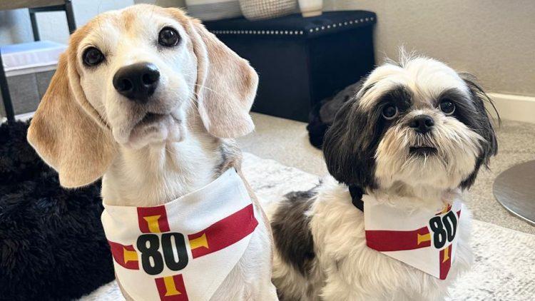 Enterprising students launch Liberation-themed dog bandanas