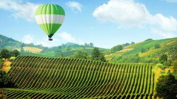 Hot air balloon