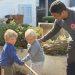 Plat Douet School children ‘get growing’ with support from local garden company