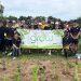 EY volunteers support Grow with sustainability initiatives