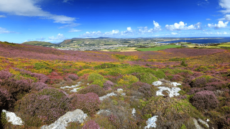 UNESCO Biosphere Isle of Man appoints new board