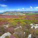UNESCO Biosphere Isle of Man appoints new board